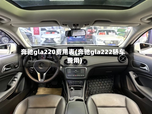 奔驰gla220费用表(奔驰gla222轿车费用)-第2张图片
