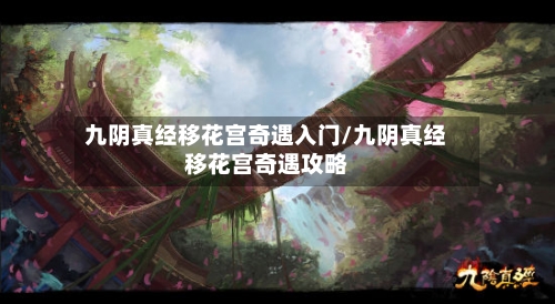 九阴真经移花宫奇遇入门/九阴真经移花宫奇遇攻略