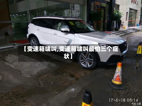 【变速箱啸叫,变速箱啸叫最怕三个症状】