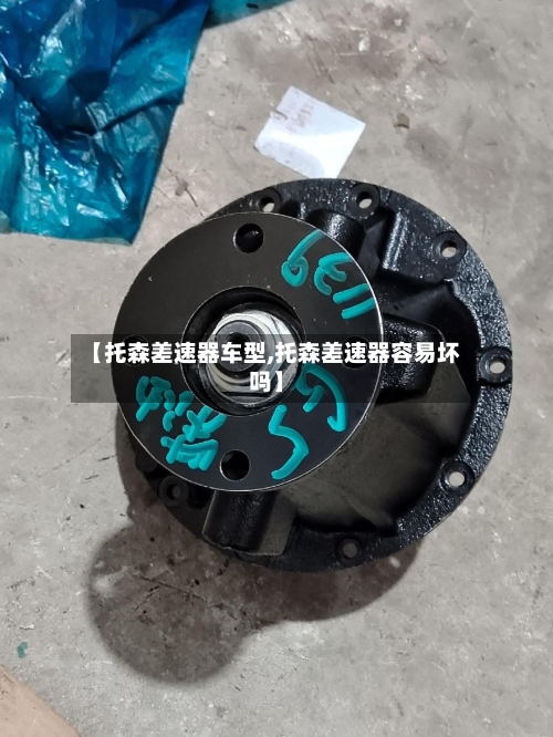 【托森差速器车型,托森差速器容易坏吗】-第3张图片