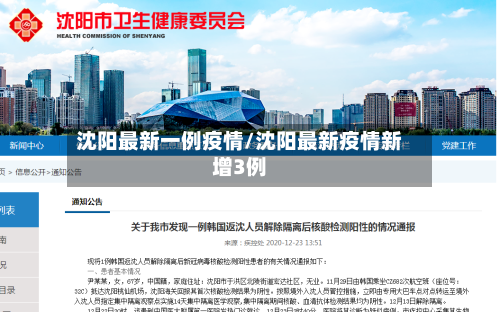 沈阳最新一例疫情/沈阳最新疫情新增3例