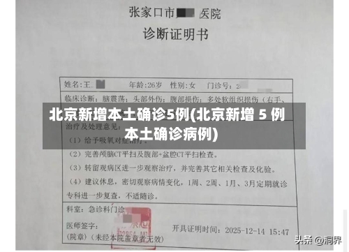 北京新增本土确诊5例(北京新增 5 例本土确诊病例)