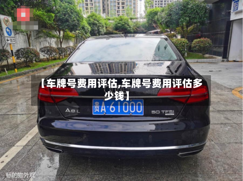【车牌号费用评估,车牌号费用评估多少钱】