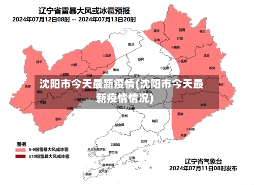 沈阳市今天最新疫情(沈阳市今天最新疫情情况)