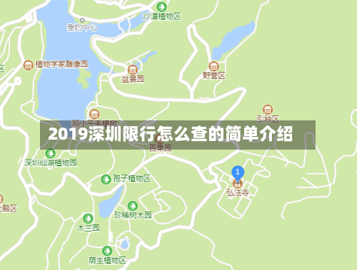 2019深圳限行怎么查的简单介绍