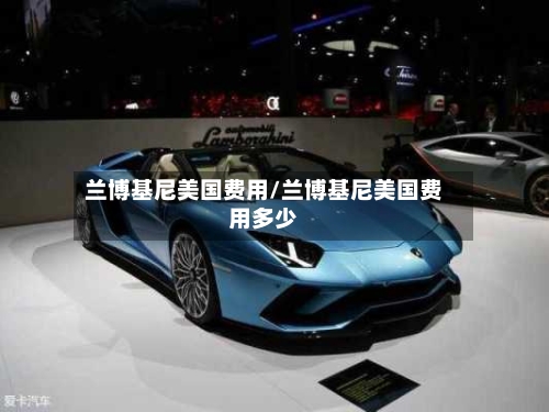 兰博基尼美国费用/兰博基尼美国费用多少-第2张图片
