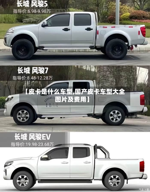 【皮卡是什么车型,国产皮卡车型大全图片及费用】-第2张图片