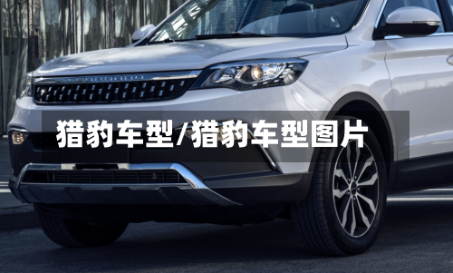 猎豹车型/猎豹车型图片-第2张图片