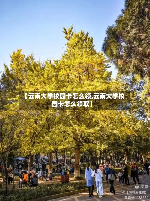 【云南大学校园卡怎么领,云南大学校园卡怎么领取】