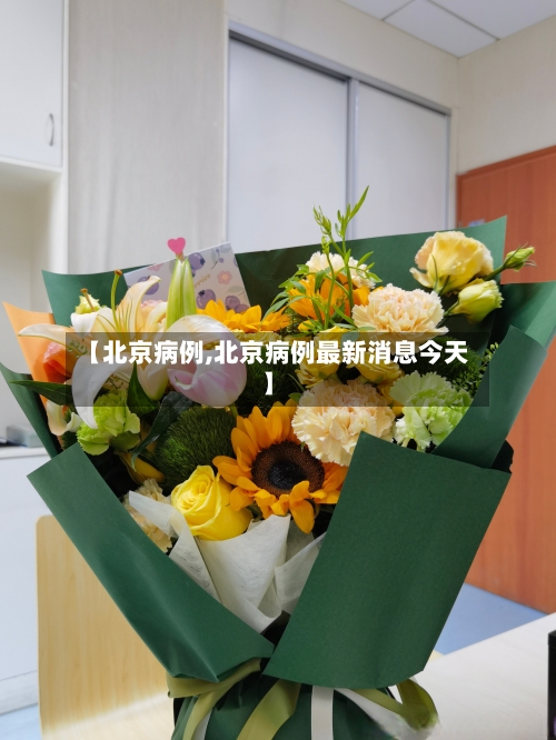 【北京病例,北京病例最新消息今天】