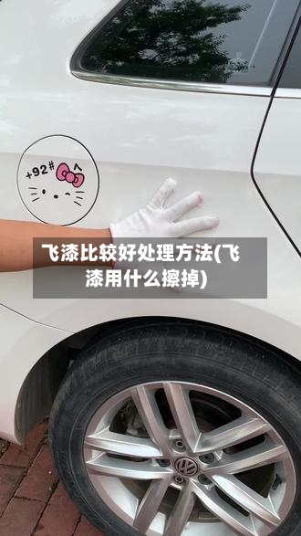 飞漆比较好处理方法(飞漆用什么擦掉)-第3张图片