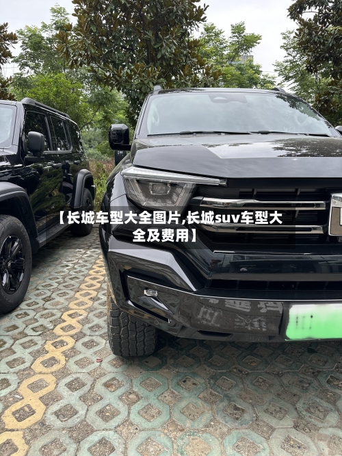 【长城车型大全图片,长城suv车型大全及费用】-第2张图片