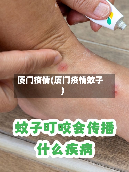 厦门疫情(厦门疫情蚊子)-第2张图片