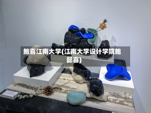 鲍喜江南大学(江南大学设计学院鲍懿喜)-第2张图片