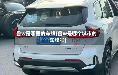 鲁w是哪里的车牌(鲁w是哪个城市的车牌号)