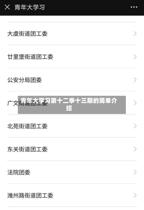 青年大学习第十二季十三期的简单介绍