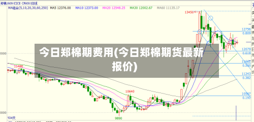 今日郑棉期费用(今日郑棉期货最新报价)