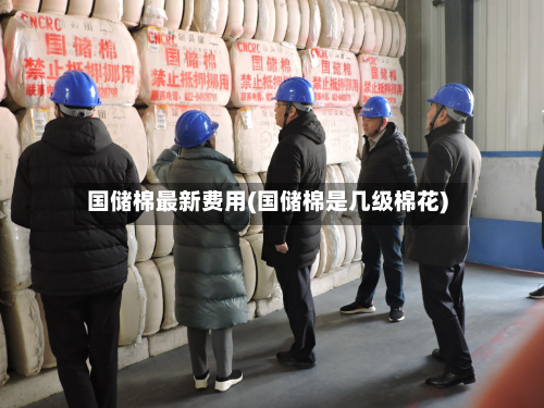 国储棉最新费用(国储棉是几级棉花)-第3张图片