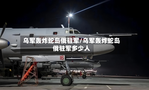 乌军轰炸蛇岛俄驻军/乌军轰炸蛇岛俄驻军多少人-第2张图片