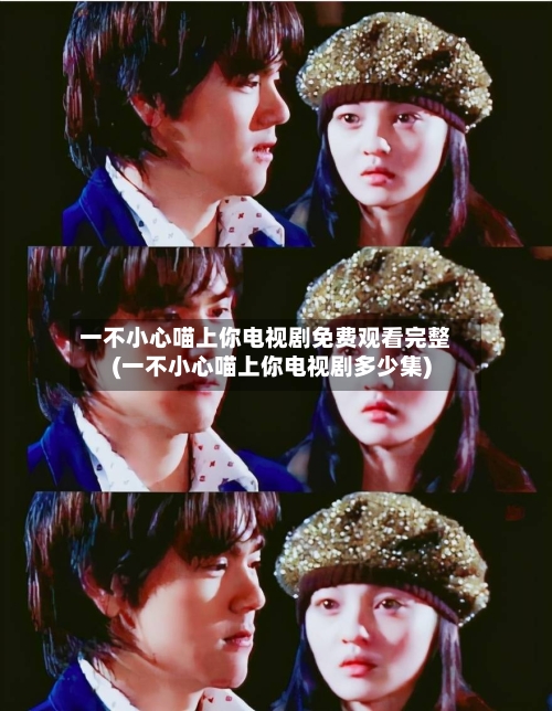 一不小心喵上你电视剧免费观看完整(一不小心喵上你电视剧多少集)-第2张图片