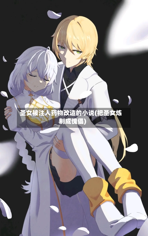 圣女被注入药物改造的小说(把圣女炼制成傀儡)