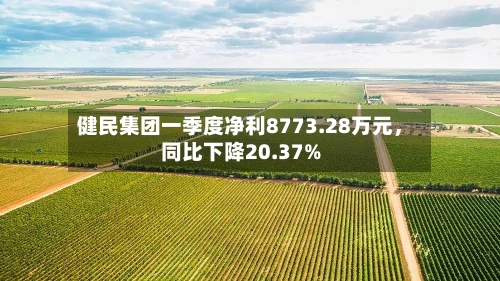 健民集团一季度净利8773.28万元	，同比下降20.37%-第3张图片