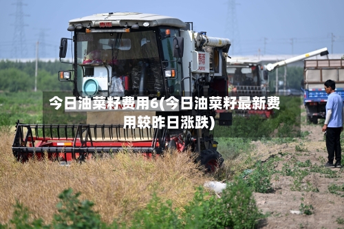 今日油菜籽费用6(今日油菜籽最新费用较昨日涨跌)