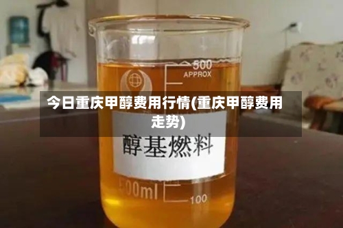 今日重庆甲醇费用行情(重庆甲醇费用走势)