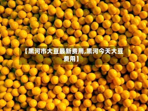 【黑河市大豆最新费用,黑河今天大豆费用】-第2张图片