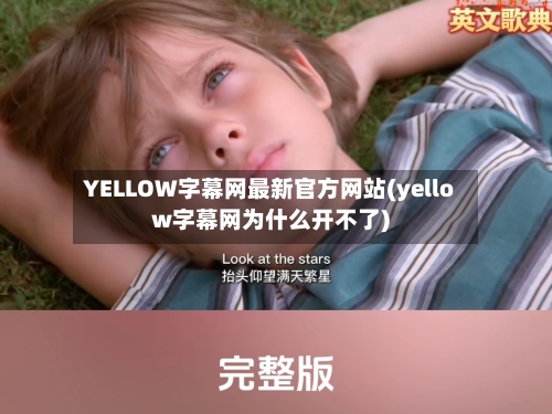 YELLOW字幕网最新官方网站(yellow字幕网为什么开不了)-第3张图片