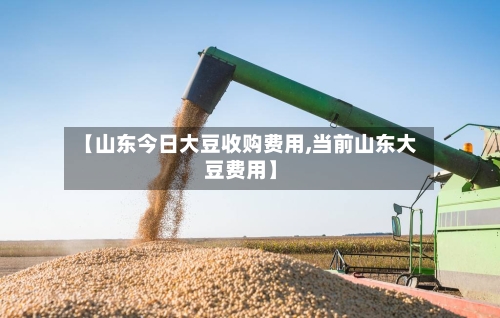【山东今日大豆收购费用,当前山东大豆费用】