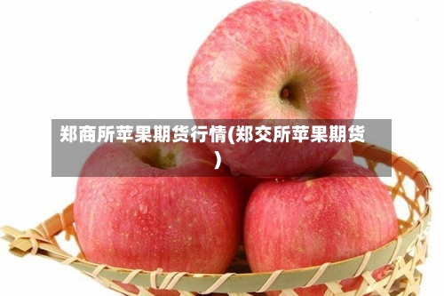 郑商所苹果期货行情(郑交所苹果期货)-第2张图片