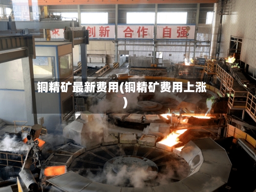 铜精矿最新费用(铜精矿费用上涨)