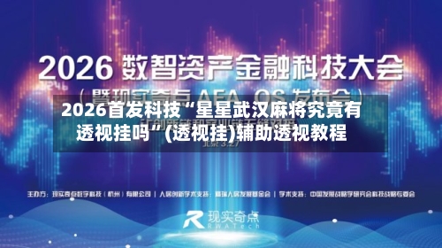 2026首发科技“星星武汉麻将究竟有透视挂吗”(透视挂)辅助透视教程-第3张图片