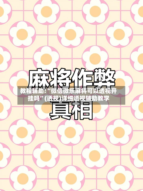 教程辅助!“微信微乐麻将可以透视开挂吗”(透视)详细透视辅助教学-第2张图片