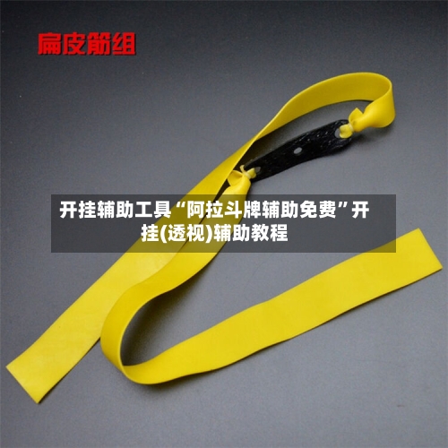 开挂辅助工具“阿拉斗牌辅助免费”开挂(透视)辅助教程-第2张图片