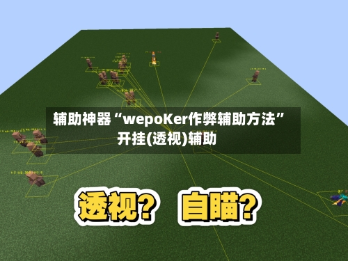 辅助神器“wepoKer作弊辅助方法”开挂(透视)辅助-第3张图片