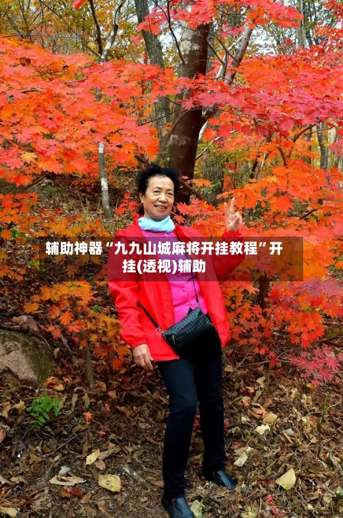 辅助神器“九九山城麻将开挂教程”开挂(透视)辅助-第2张图片