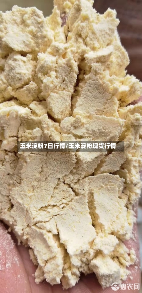 玉米淀粉7日行情/玉米淀粉现货行情