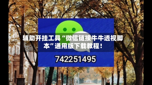 辅助开挂工具“微信链接牛牛透视脚本”通用版下载教程！-第2张图片