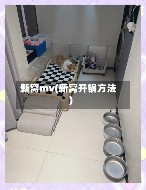 新窝mv(新窝开锅方法)