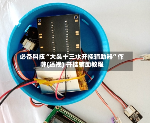 必备科技“大头十三水开挂辅助器”作弊(透视) 开挂辅助教程-第2张图片