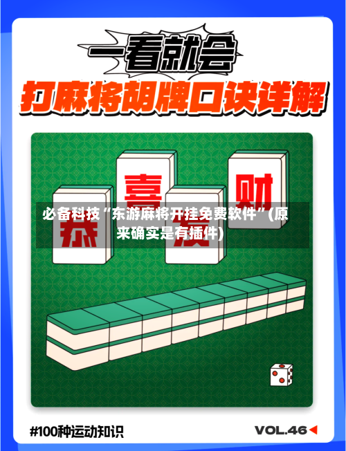 必备科技“东游麻将开挂免费软件”(原来确实是有插件)-第3张图片