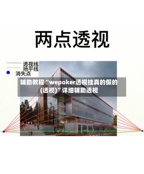 辅助教程“wepoker透视挂真的假的(透视)”详细辅助透视-第2张图片
