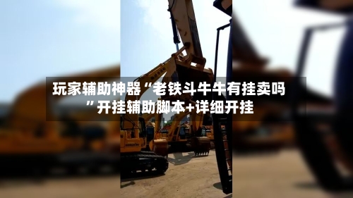 玩家辅助神器“老铁斗牛牛有挂卖吗”开挂辅助脚本+详细开挂-第2张图片