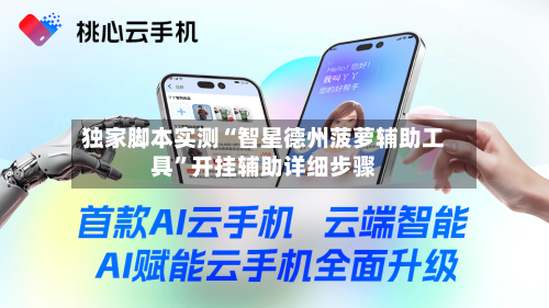 独家脚本实测“智星德州菠萝辅助工具”开挂辅助详细步骤-第3张图片