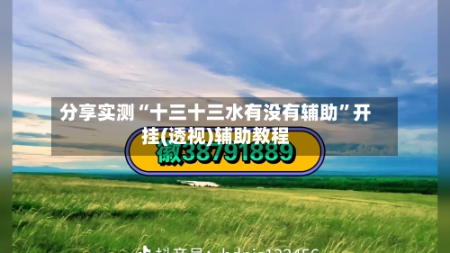 分享实测“十三十三水有没有辅助	”开挂(透视)辅助教程-第2张图片