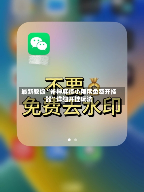 最新教你“雀神麻将小程序免费开挂器”详细开挂玩法-第3张图片