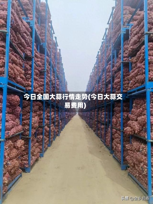 今日全国大蒜行情走势(今日大蒜交易费用)