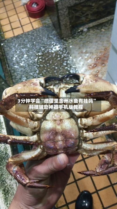 3分钟学会“微信里金州水鱼有挂吗”科技辅助神器手机版教程-第2张图片